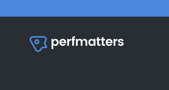 Perfmatters WordPress Plugin v2.2.9