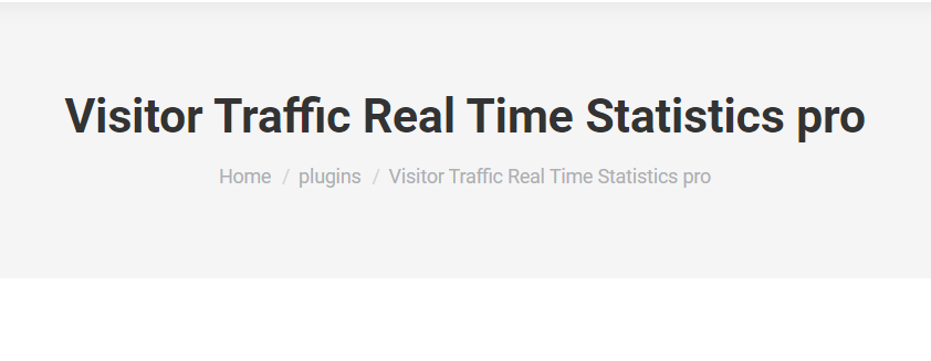 Visitor Traffic Real Time Statistics Pro v10.4