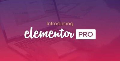 elementor pro 3.21.1