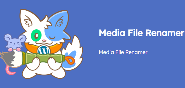 Media File Renamer Pro v5.9.3